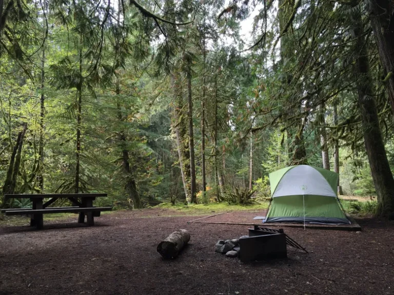 First time camping. A tent